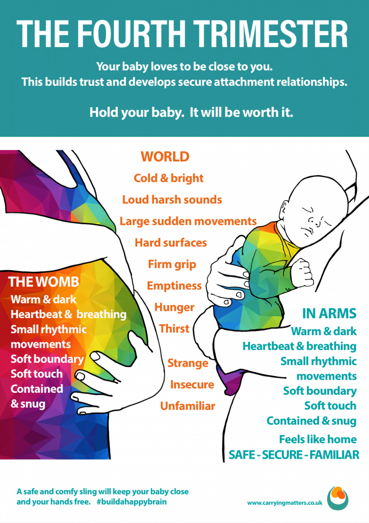 Secure Attachment And The Fourth Trimester Carrying Matters