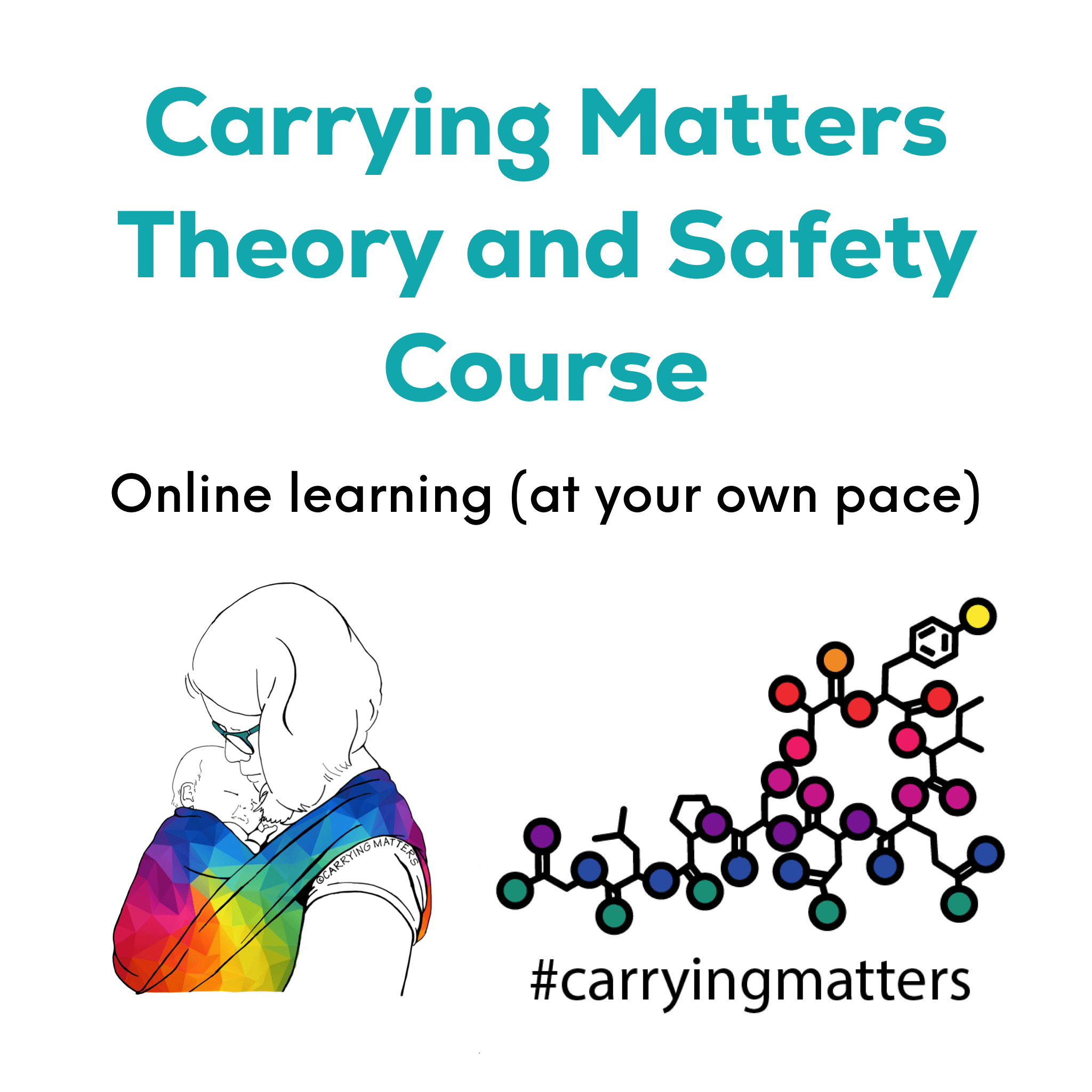 theory-and-safety-course-carrying-matters